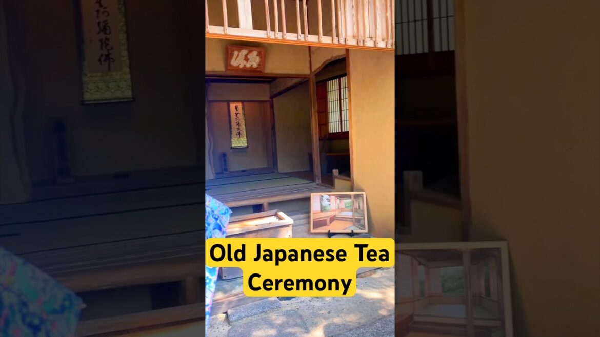 Old Japanese Tea Ceremony Museum Kinkakuji Temple Kyoto, Japan #shorts #japan #travel