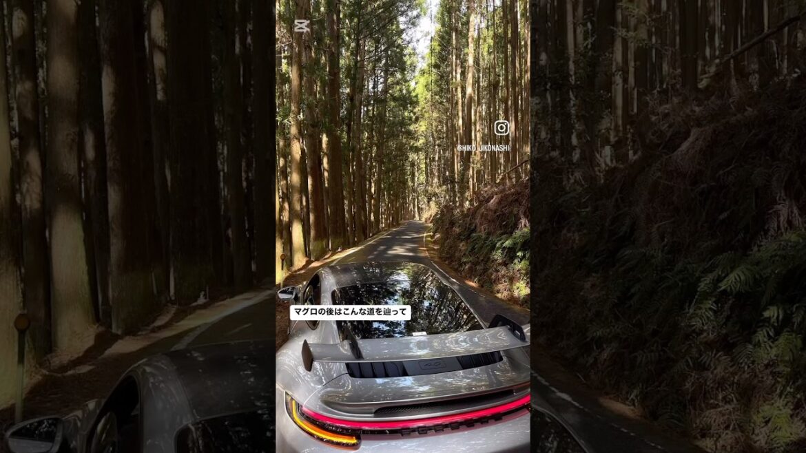 浜松の鰻を目指して串本から行く❣️ #911gt3