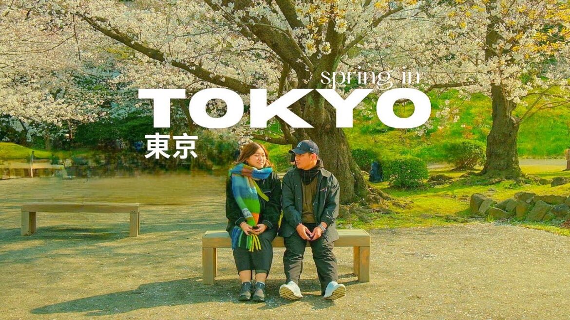 Spring in Tokyo đ¸đŻđľ sakura experience at yanaka, kanda river, kyu-shiba-rikyu gardens and narita Spring in Tokyo đ¸đŻđľ sakura experience at yanaka, kanda river, kyu-shiba-rikyu gardens and narita