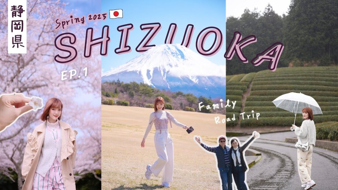 🇯🇵 ใครๆก็ไป Shizuoka  | ซากุระ - ฟูจิ - ไร่ชา 🗻🌸🍵 ที่เที่ยวมาแรงตอนนี้  | Kirarista