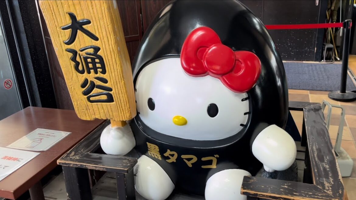 Complete Hakone Adventure: Train, Cable Car, Ropeway, and Pirate Ship Experience