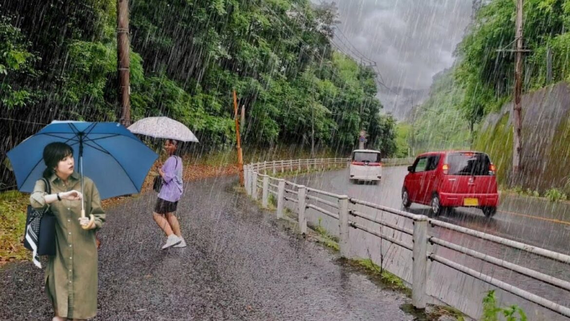 Walking In The Rain In Kagoshima Japan, Insomnia disappears instantly