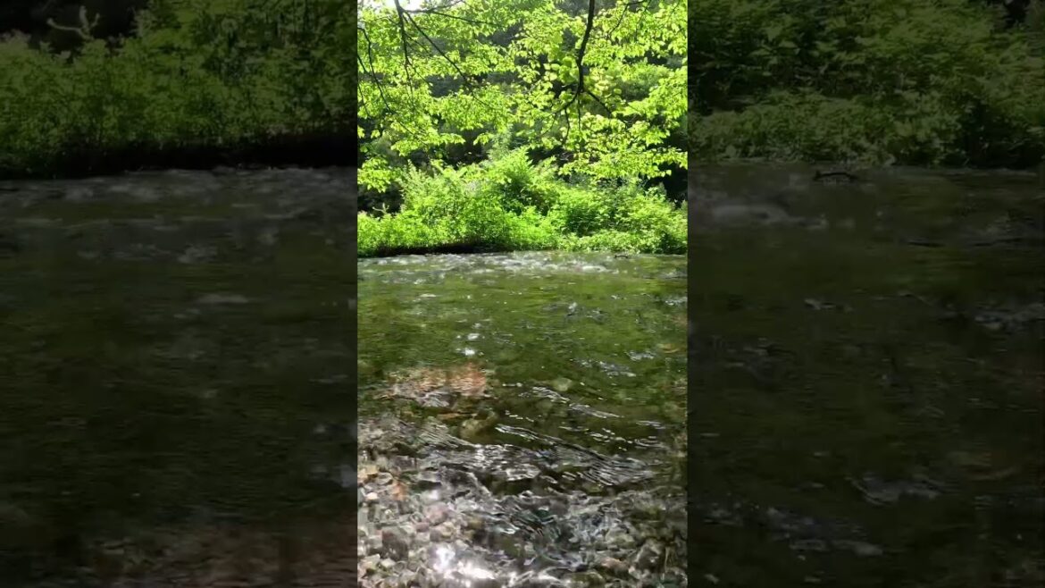 【JAPAN】Please Feel Relaxed with Stream- Kitanisawa Stream at Tottori 【JAPAN】Please Feel Relaxed with Stream- Kitanisawa Stream at Tottori