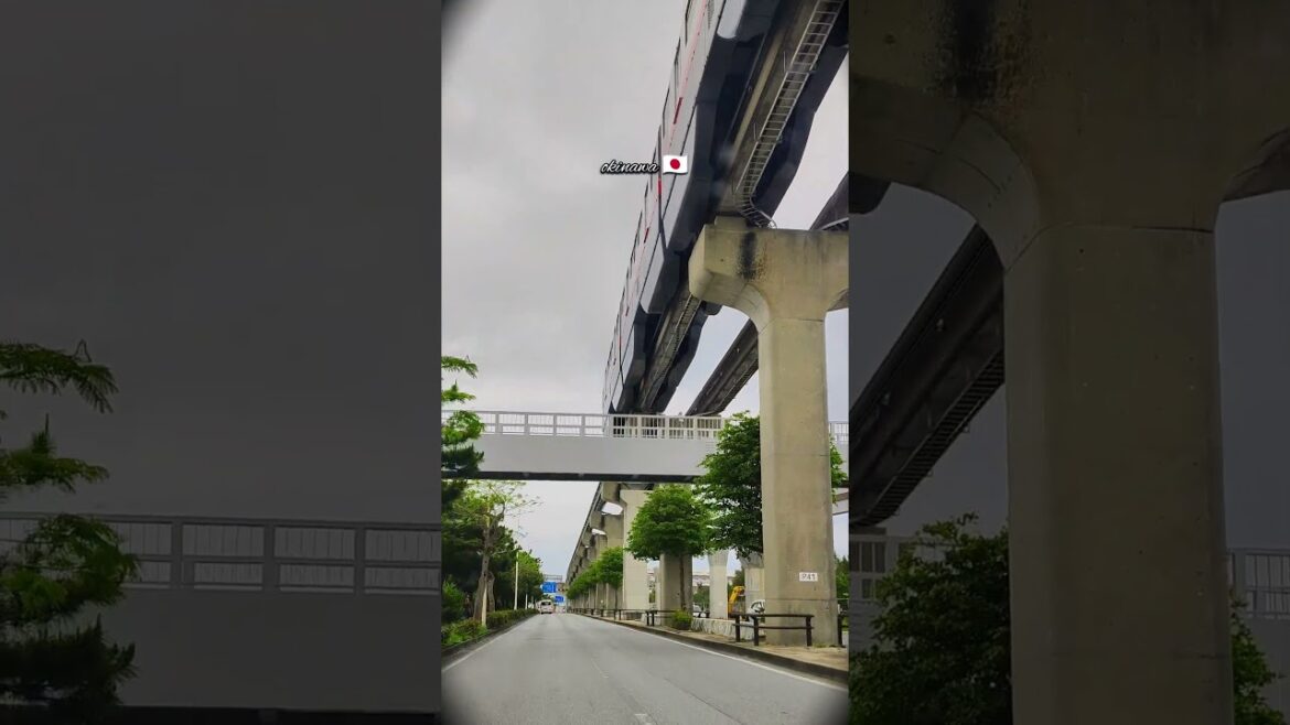 Okinawa Vibes | Smooth Road & Monorail Moments 🤌❤️