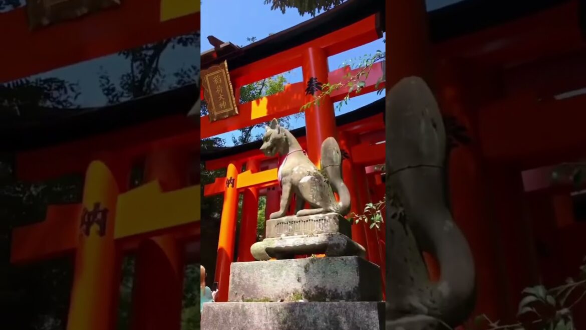 【Japan】京都旅行で伏見稲荷大社⛩️🇯🇵🦊