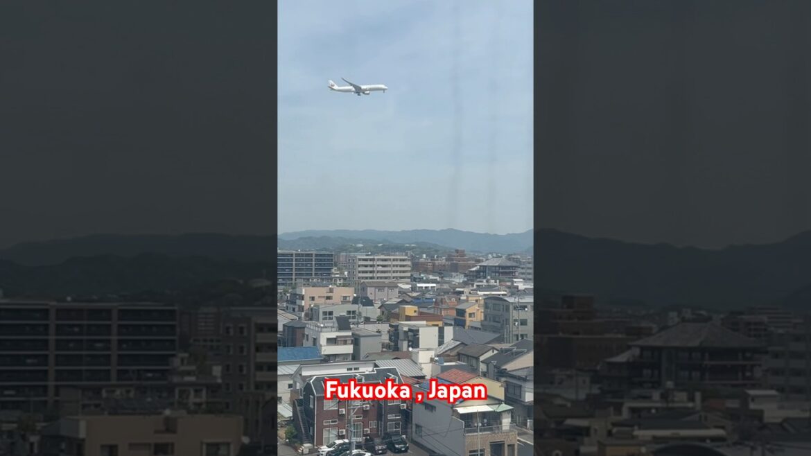 Good morning from fukuoka , Japan #tour#travel #japan Good morning from fukuoka , Japan #tour#travel #japan