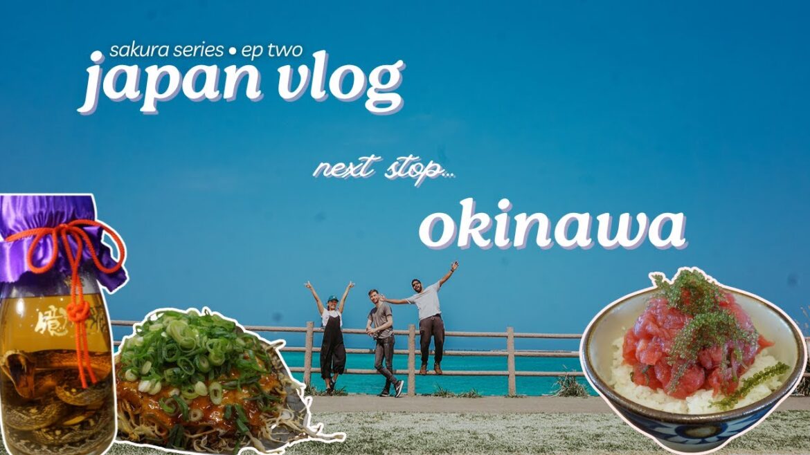 🏝️ 3 days in Okinawa & 1 night in Hiroshima | 🌸 Sakura Season Japan Travel Vlog • ep two