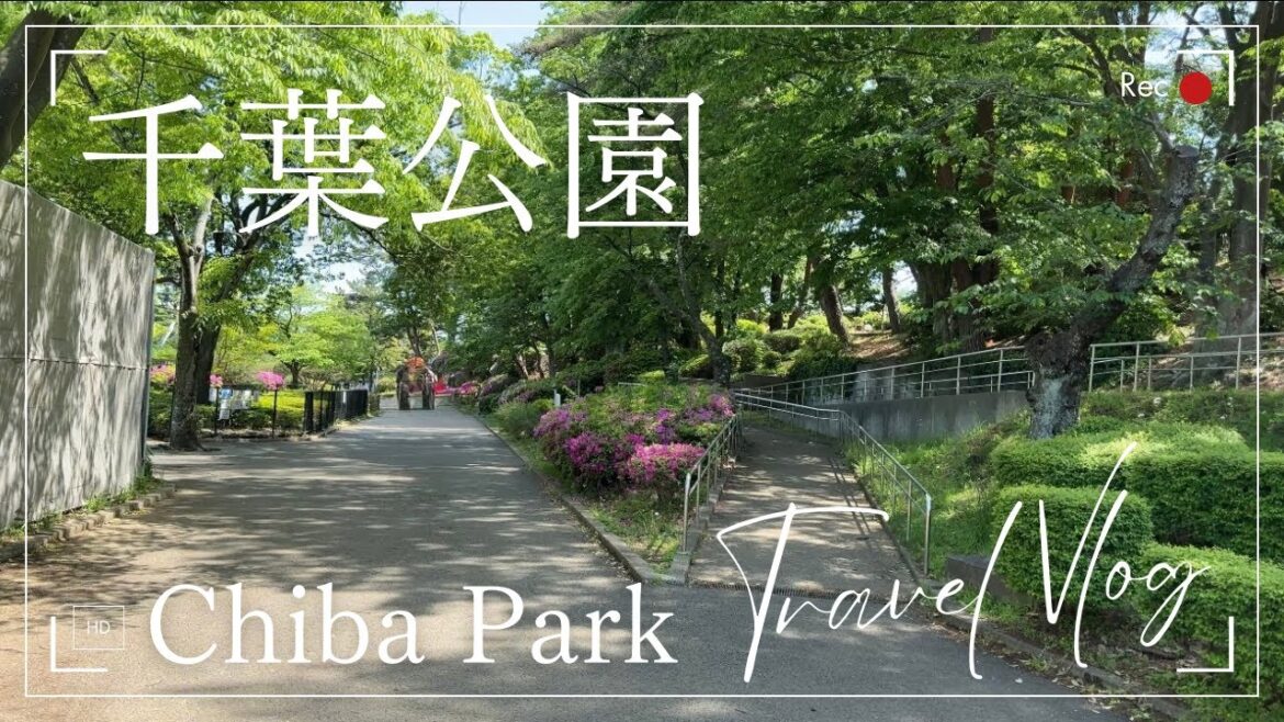 [4K HD] Golden Week Holiday Visit To Chiba Park and Boating Lake 🛶🛶