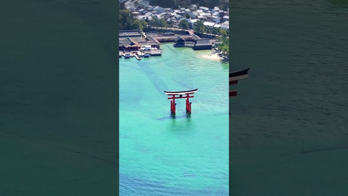 Beautiful Japan. Kyoto, Fuji, Miyajima, Tokyo, Akihabara, Kimono #travel