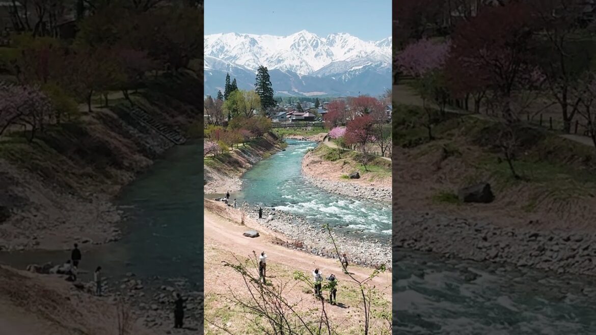 This is not a Kashmir 🇮🇳 or Switzerland 🇨🇭. This is a Beautiful Hakone (Japan) 🇯🇵 #japan #hakone