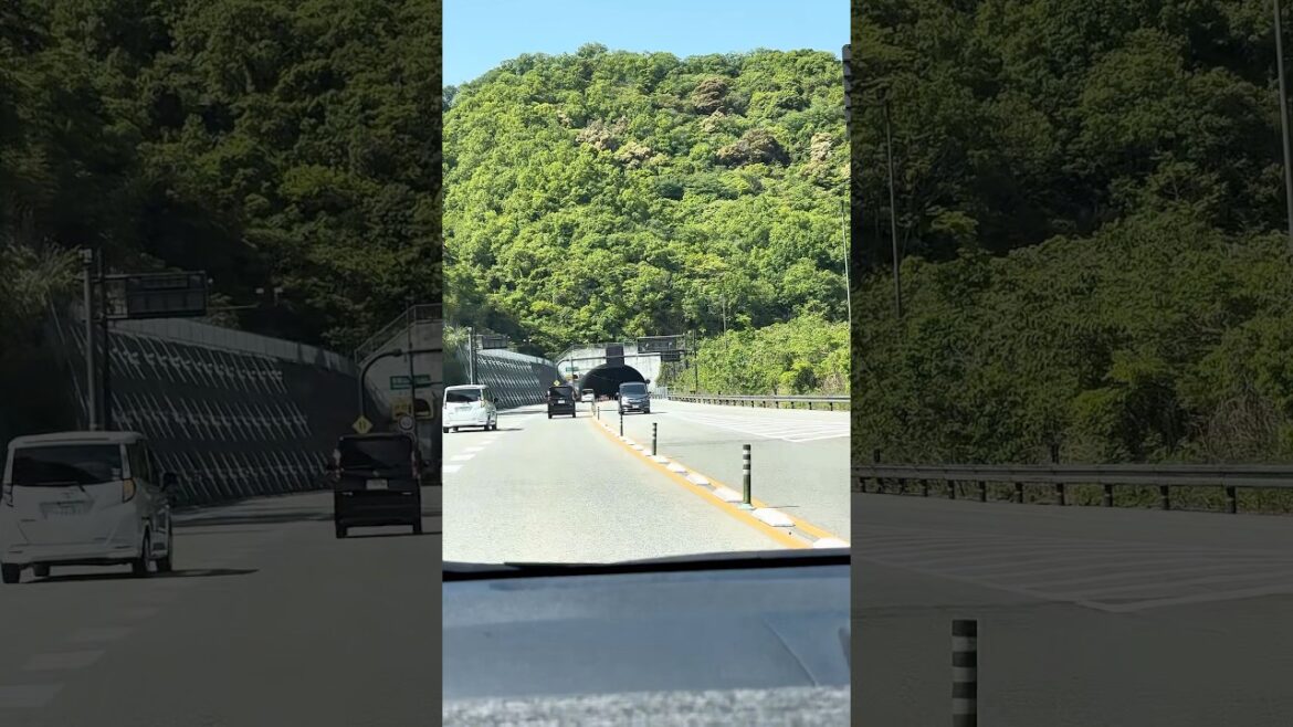 #wakayama #japan #travel #travelshorts #beautifuldestinations