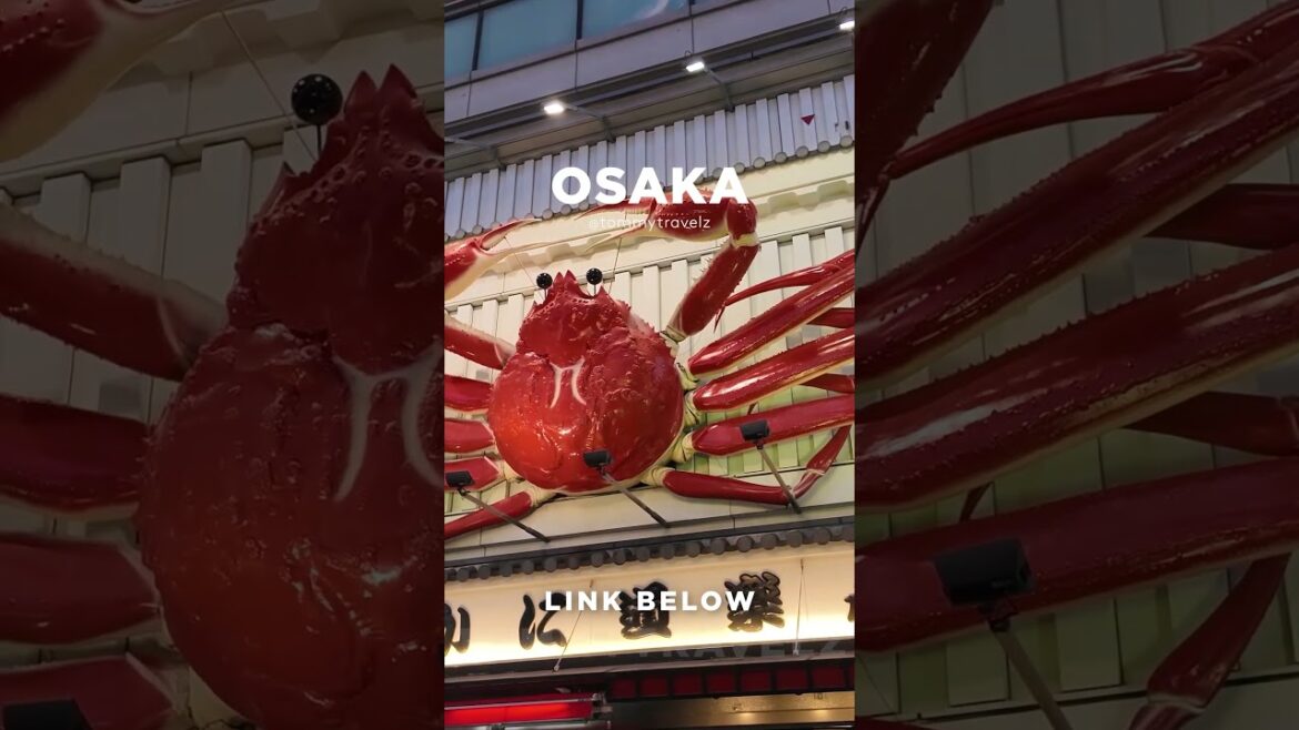 #tokyo #osaka #ohtani #kyoto #shibuya #ginza #onsen #shinjuku #soba #ramen #tokyotravel #japan