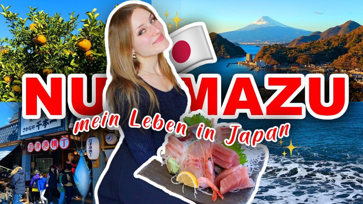 4 Tage in NUMAZU!🇯🇵✨ | Alltagsvlog aus #Japan 4 Tage in NUMAZU!🇯🇵✨ | Alltagsvlog aus #Japan