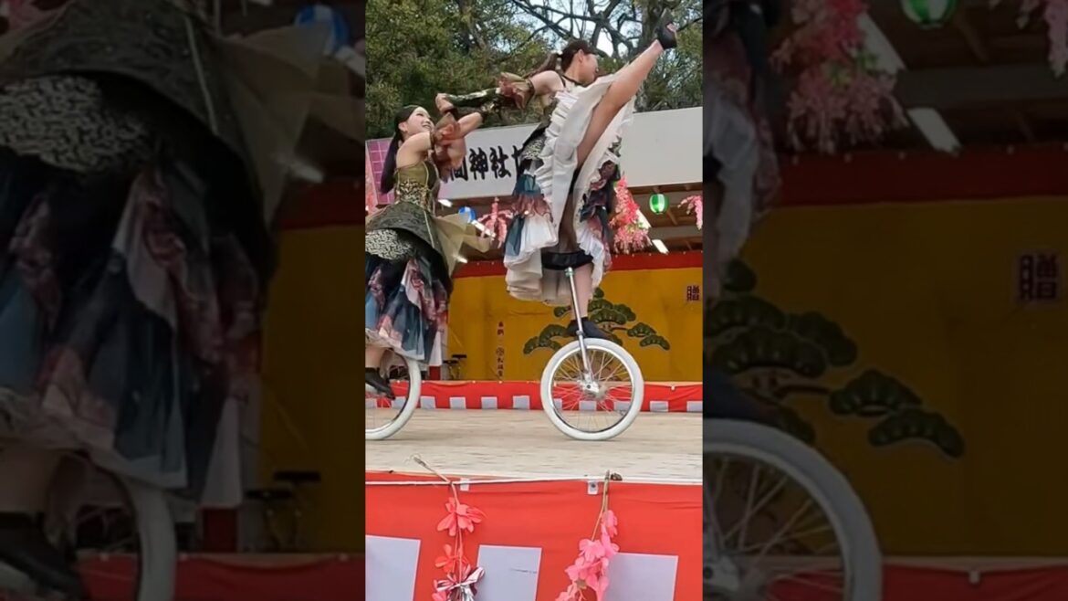 Unicycle at Shizuoka Sengen Shrine in Japan #shorts