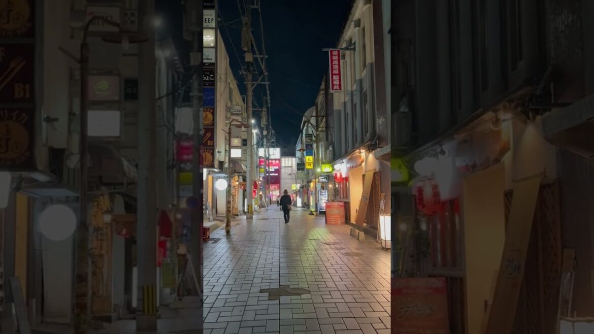 Kagoshima, Japan: A walk at night.