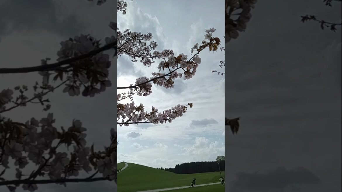 Moerenuma koen, Sapporo, Hokkaido Japan