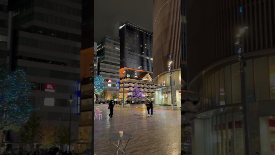 【OSAKA】 Everyday Common Scene - Namba Station