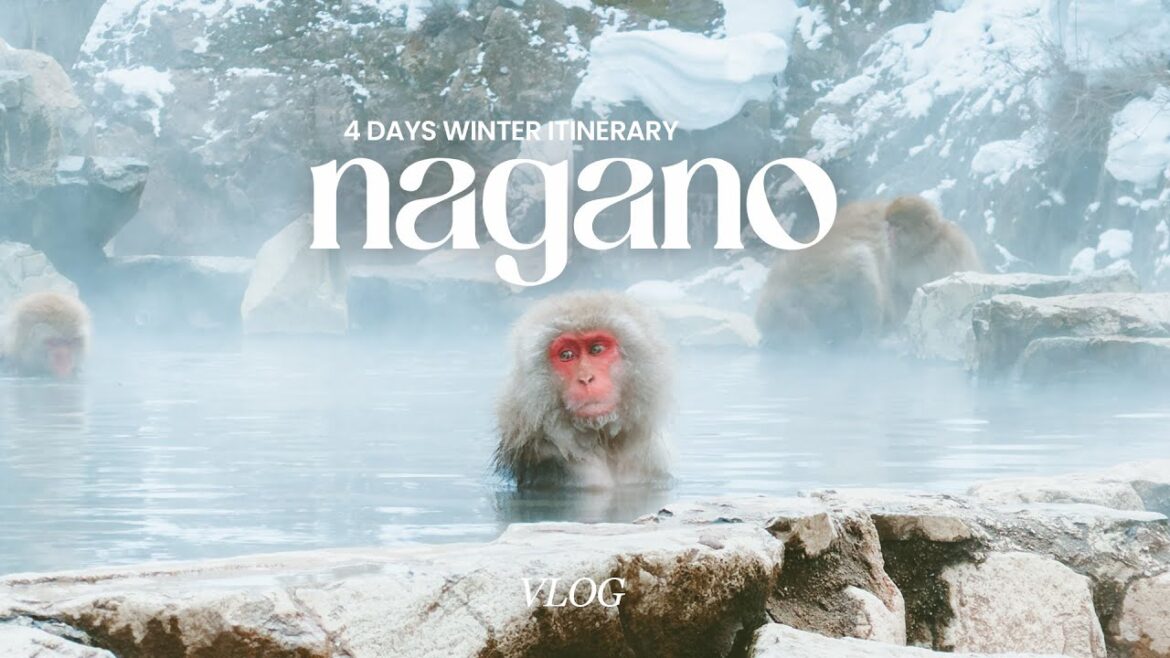 4-day nagano winter itinerary | snow monkey park, togakushi shrine, ghibli-themed cafe 4-day nagano winter itinerary | snow monkey park, togakushi shrine, ghibli-themed cafe