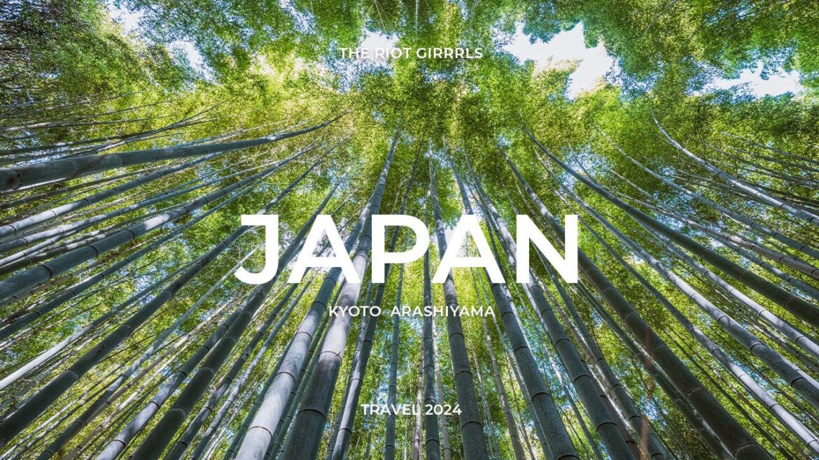 Japan Travel | Kyoto 5B/6 | Bambuswald und Makaken | Naturerlebnis | cinematic travel video Japan Travel | Kyoto 5B/6 | Bambuswald und Makaken | Naturerlebnis | cinematic travel video