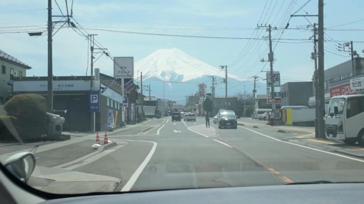 Japan Trip vlog Part 2 #travel#kyoto #tokyo #familyvlog #familytrip #foodie #streetfood #vlog