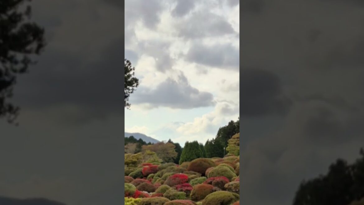 Uncovering Mount Fuji | Hakone | Japan