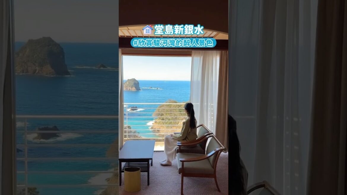 伊豆住宿交通推薦♨️櫻花/溫泉海景飯店/動漫場景開箱給你！