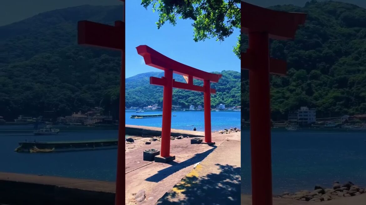 Moroguchi Shrine / 諸口神社 #travel #旅行 #visitjapan #観光 #japan #japantravel #shizuoka #静岡 #神社