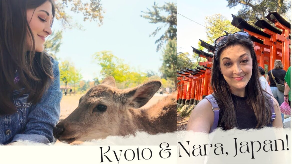 KYOTO and NARA, JAPAN! (Katie In Hong Kong Ep. 9)