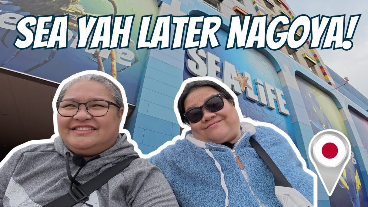 Nagoya Vlog | Sea Life Nagoya Aquarium, Train to Airport & Travel Day | Chub Explorers Nagoya Vlog | Sea Life Nagoya Aquarium, Train to Airport & Travel Day | Chub Explorers