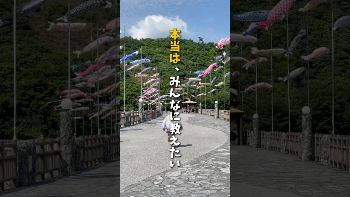 【急ぎです💦】沖縄の穴場すぎる避暑地でGWにお祭り開催しています!《沖縄旅行・観光・旅行・Okinawa》#沖縄#沖縄旅行#旅行#旅#GW#名護市#okinawa#trip#travel 【急ぎです💦】沖縄の穴場すぎる避暑地でGWにお祭り開催しています!《沖縄旅行・観光・旅行・Okinawa》#沖縄#沖縄旅行#旅行#旅#GW#名護市#okinawa#trip#travel