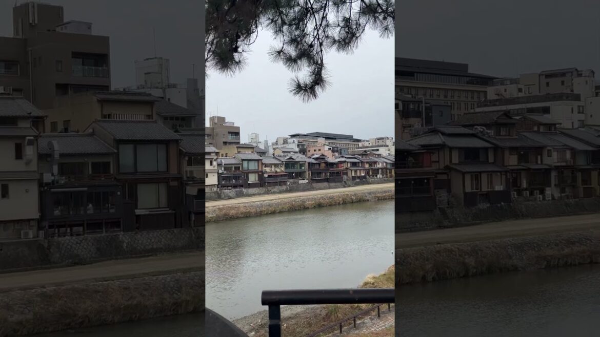 【KYOTO】Everyday Common Scene – Kamo River 【KYOTO】Everyday Common Scene - Kamo River