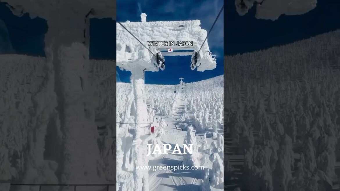 Winter in Japan: Snowy Temples, Onsen Bliss & Hokkaido Slopes | Japan Travel Guide