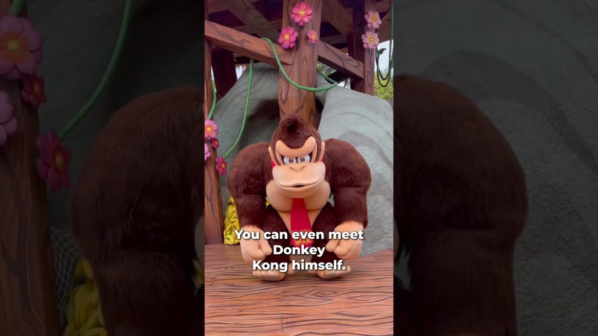 The World's First Donkey Kong Country is in Japan!