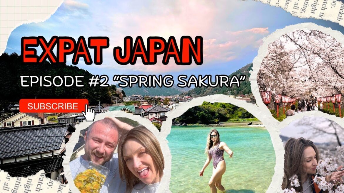 Expat Life in Japan! - Ep #2: Cherry Blossom Adventures & Spring Projects