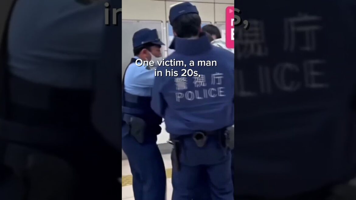 Man Stabs Two in Rush Hour Attack on Tokyo Train