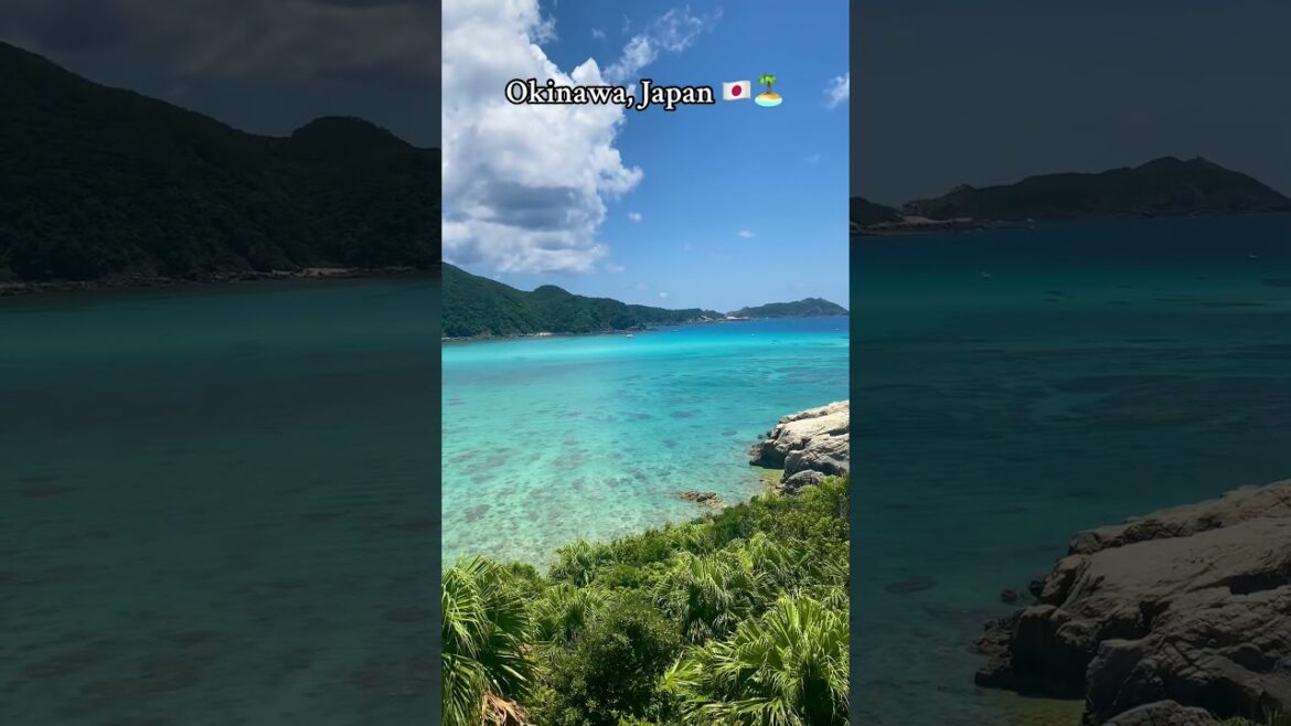 POV: You visited the Islands of Okinawa Japan🏝️🇯🇵♥️️