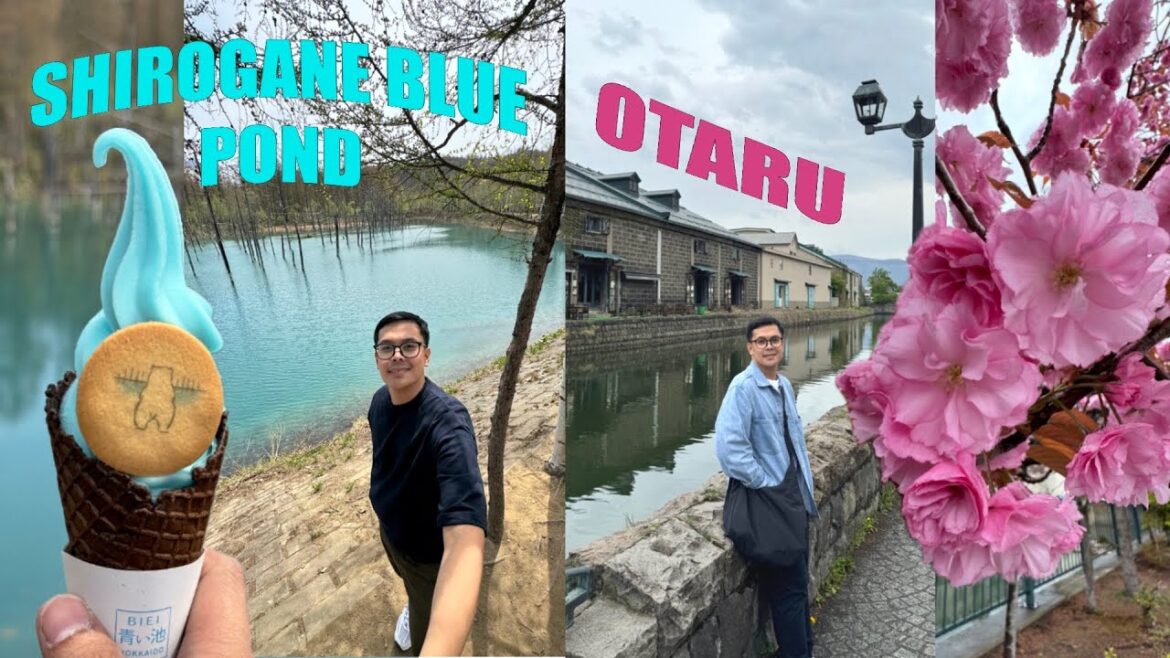Exploring Hokkaido Japan 🇯🇵DIY trip to Shirogane Blue Pond & Otaru l 2024 Exploring Hokkaido Japan 🇯🇵DIY trip to Shirogane Blue Pond & Otaru l 2024