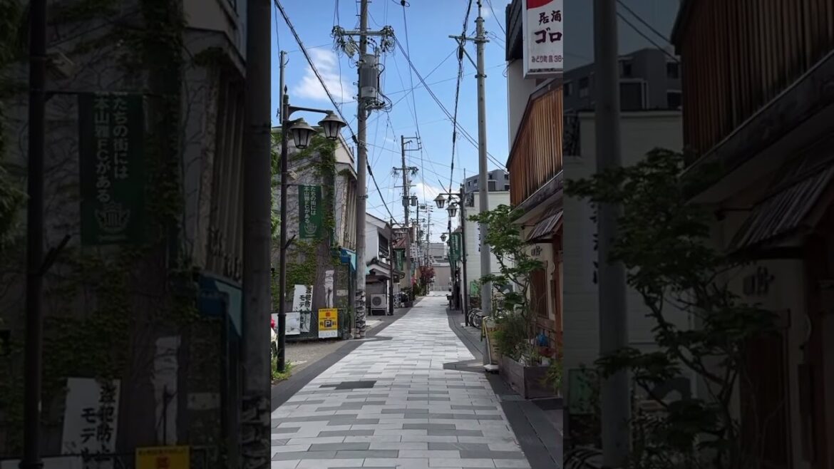 Beautiful streets of #nagano #japan #travel #youtubeshorts #explore #triptojapan