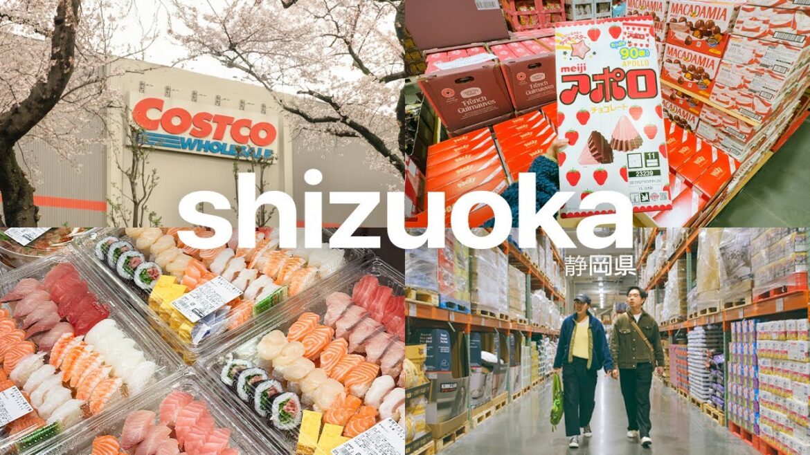 on our way to mount fuji, we visit costco in japan on our way to mount fuji, we visit costco in japan