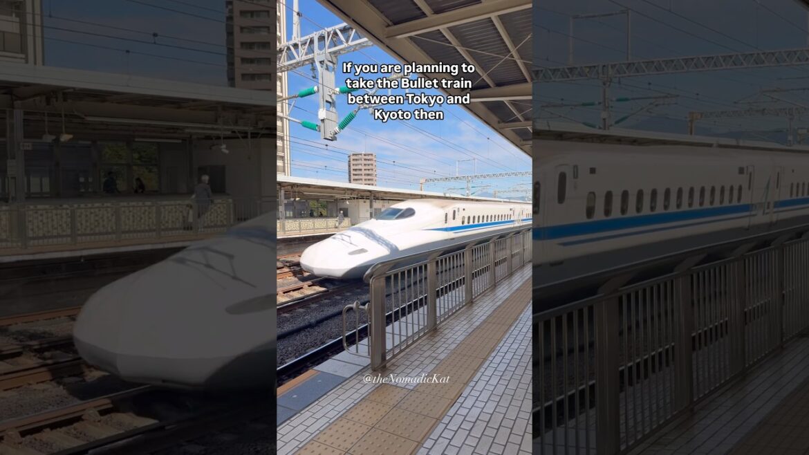 Japan Bullet Train – Which seat to book? 🚅 #shinkansen #bullettrains #japanvlog #japantravel Japan Bullet Train - Which seat to book? 🚅 #shinkansen #bullettrains #japanvlog #japantravel