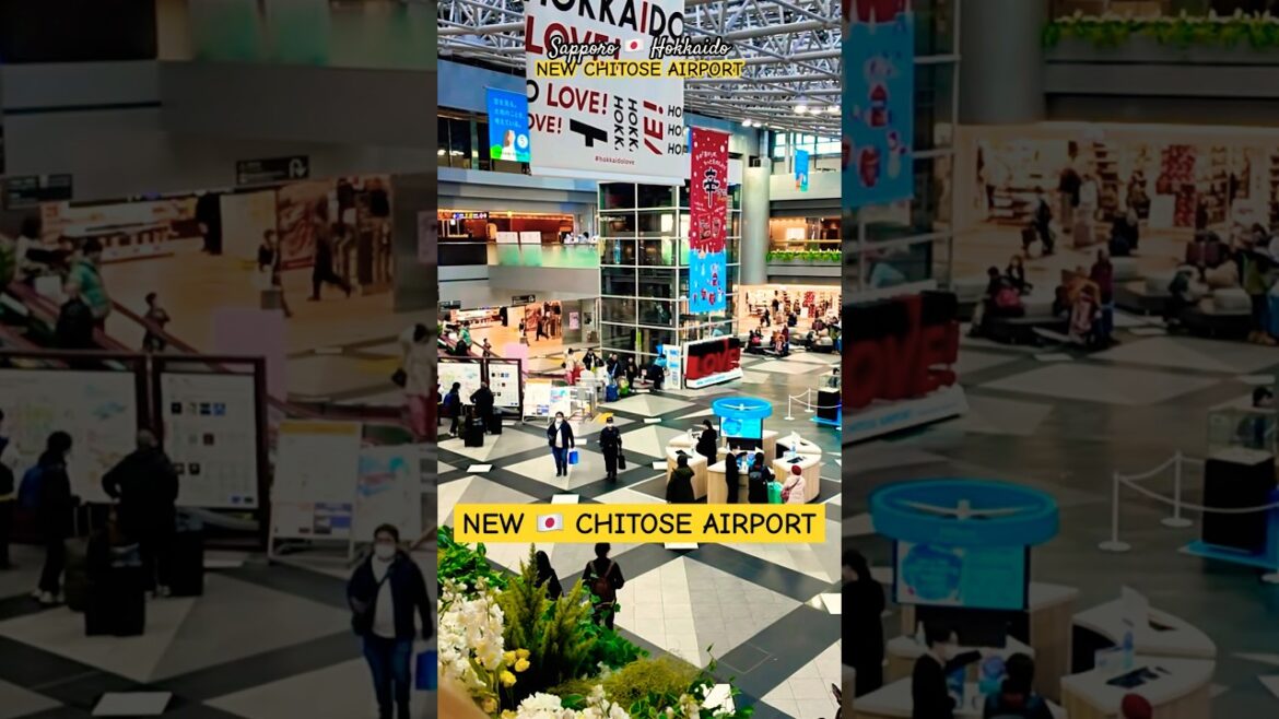 I WAS SO WRONG! I thought IT WAS JUST AN AIRPORT | NEW CHITOSE AIRPORT | HOKKAIDO 🇯🇵 JAPAN I WAS SO WRONG! I thought IT WAS JUST AN AIRPORT | NEW CHITOSE AIRPORT | HOKKAIDO 🇯🇵 JAPAN