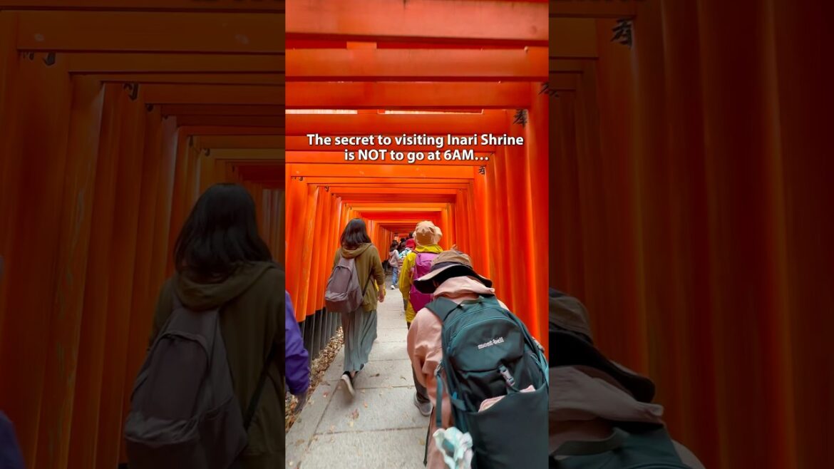You DON’T need to visit Inari Shrine in Kyoto at 6am to avoid crowds. Just keep walking. 🚶🏻‍♀️