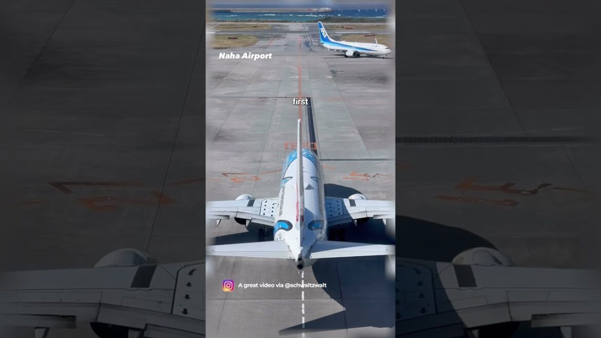 Flight Control Flex! (Boeing 737 Flight Control Check at Naha Airport) Flight Control Flex! (Boeing 737 Flight Control Check at Naha Airport)