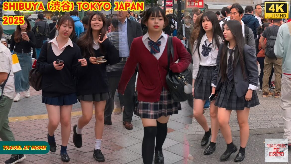 4K HDR Japan travel 2025 | Walk in Shibuya (渋谷) Tokyo Japan | Relaxing Natural City ambience 4K HDR Japan travel 2025 | Walk in Shibuya (渋谷) Tokyo Japan | Relaxing Natural City ambience