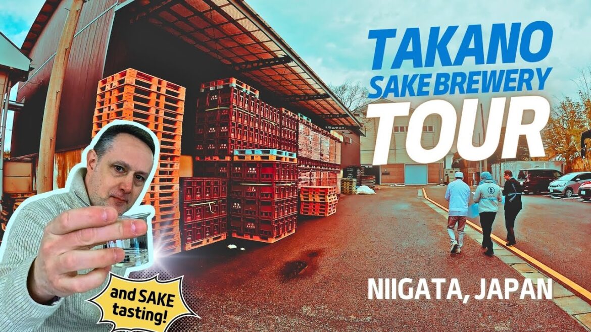 Sake Brewery Tour: Takano Shuzo in Niigata, Japan