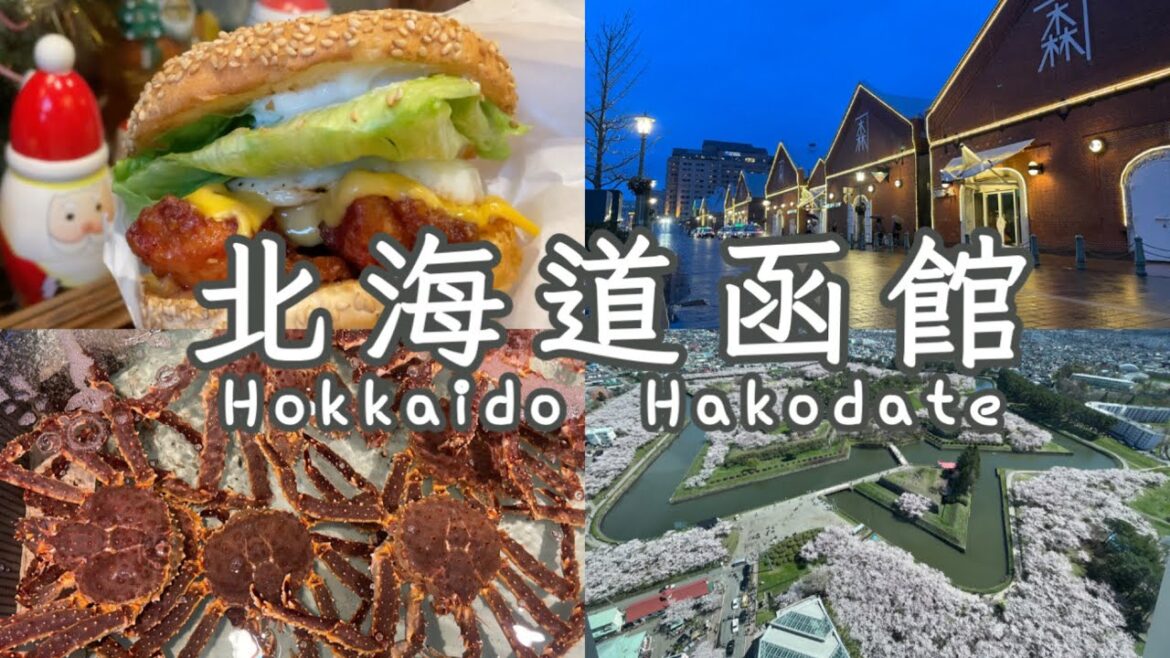 北海道賞櫻ep.1 🇯🇵｜前進函館｜五稜郭賞櫻🌸｜函館朝市帝王蟹🦀｜幸運小丑漢堡｜金森紅磚倉庫｜函館山百萬夜景｜Hokkaido Walking Tour