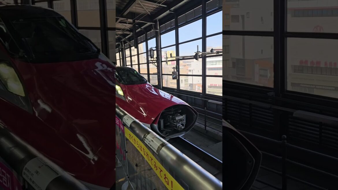 E5 and E6 coupling in Morioka, to continue as the Hayabusa Shinkansen service to Tokyo.