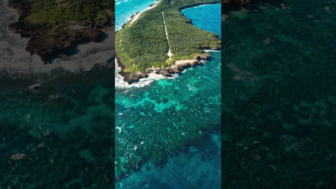 【沖縄】久高島【離島】