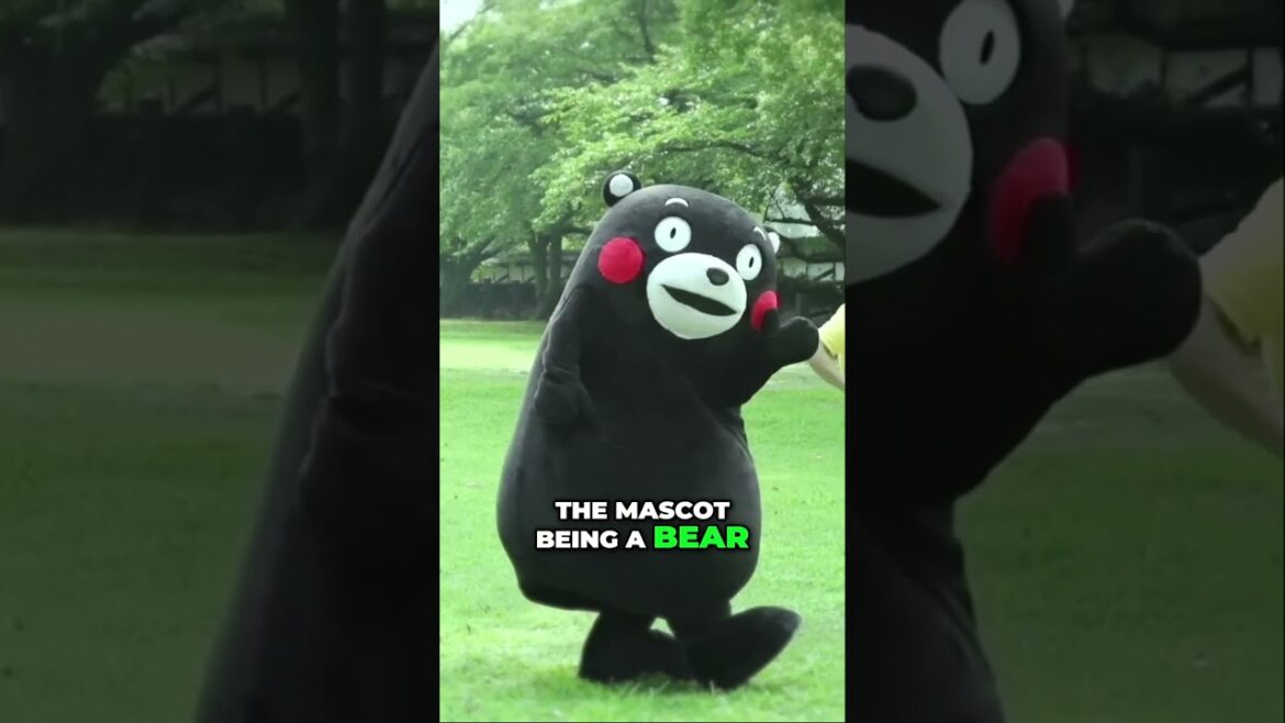 What does kumamoto means?