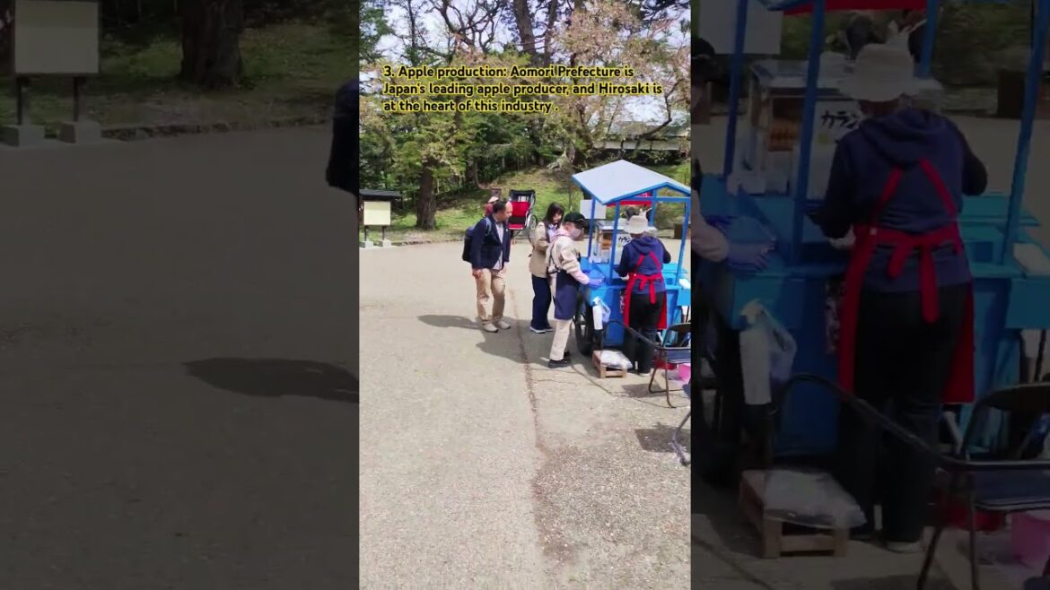 Hirosaki park #japan #vacation #aomori #hirosaki #park